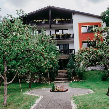 Pension Leprich Bad Goisern Extérieur photo